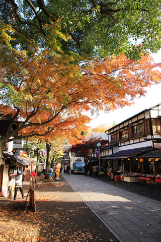 jindaiji20.jpg
